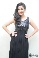 Sadha at Yamaleela 2 Movie Audio Launch